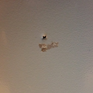 Photo of Stan Perkoski's Home Services