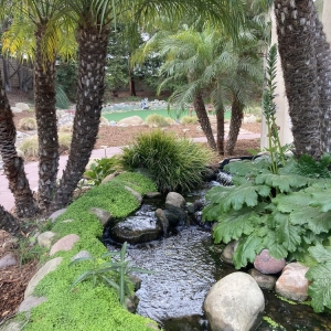 Photo of Artistic Landscape