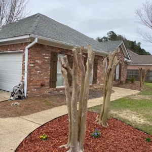 Photo of Roger Moore Roofing & Remodeling Services