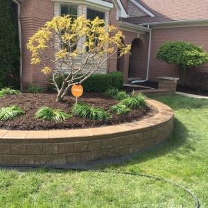 Photo of Dynamic Lawn & Snow Service