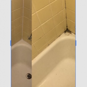 Photo of Diamond Bright Shower Detailing