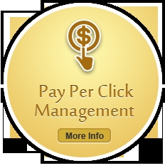 Photo of SEO Solutions