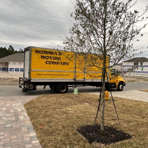 Photo of Momma's Moving Company