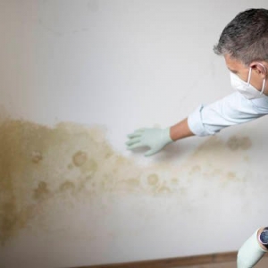 Photo of Carolina Crawlspace Pros