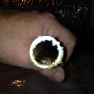 Photo of Carolina Crawlspace Pros