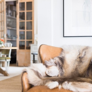 Photo of Providence Interiors