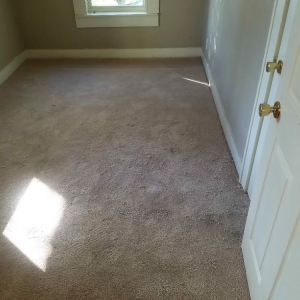 Photo of Dreamz Total Cleaning