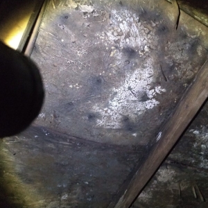 Photo of Atrax Roof & Gutter