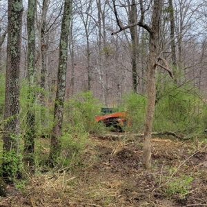Photo of CCE
