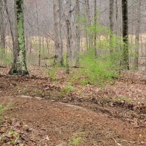Photo of CCE