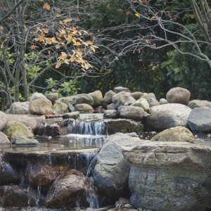 Photo of Berns Landscaping