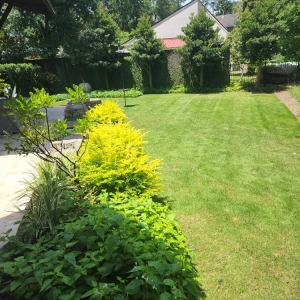 Photo of razoscape