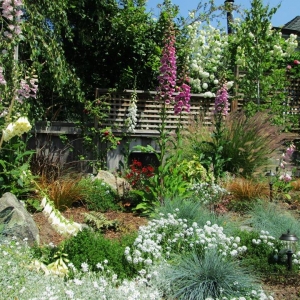 San Francisco Rambunctious Gardens