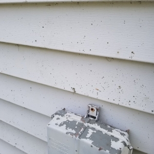 Photo of Glintex Exterior Cleaning