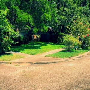 Photo of Islandbreeze Landscaping