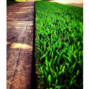 Photo of Islandbreeze Landscaping