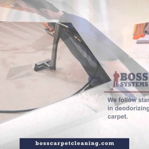 Photo of Boss Systems Carpet Cleaning