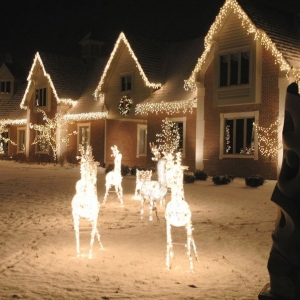 Photo of The Christmas Light Pros