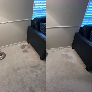 Photo of RugGuys
