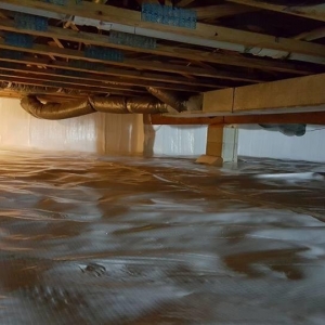 Photo of Atlantis Waterproofing and Mold Control