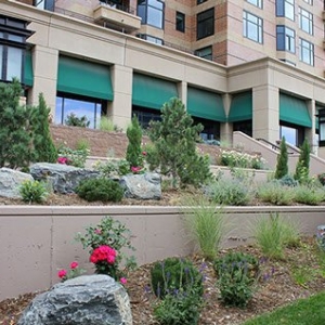 Photo of Bloom Floralscapes