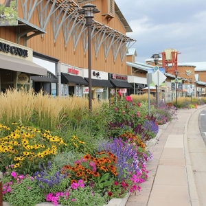 Photo of Bloom Floralscapes