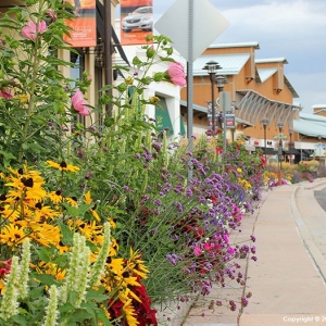 Photo of Bloom Floralscapes