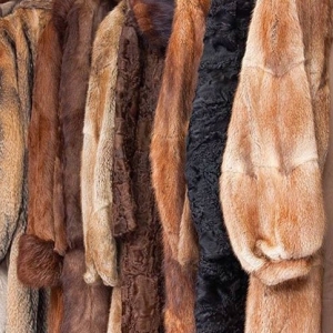 Photo of GreenClean Dry Cleaning Ahwatukee