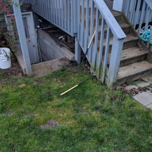 Seattle 5 Men & A Mower