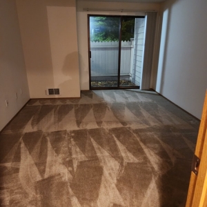 Photo of Cholita Residential Commercial cleaning services