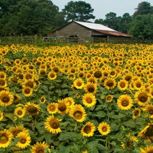 Photo of NatVest