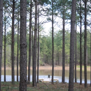 Photo of NatVest