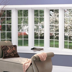 Photo of Xtreme Glass