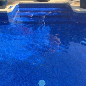 Photo of Red's Pool and Spa