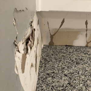 Photo of Irving Counter Top
