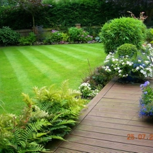 Photo of Organic Lawn Care