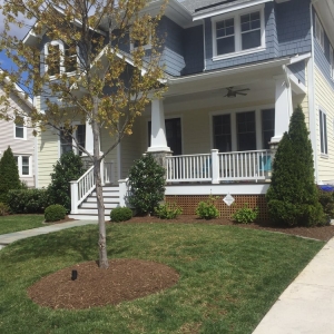 Photo of Organic Lawn Care