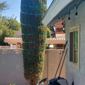 Photo of K's Lawn Services