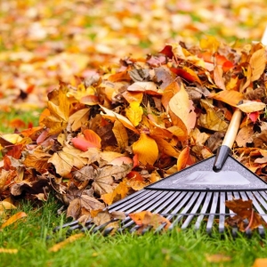 Photo of K's Lawn Services