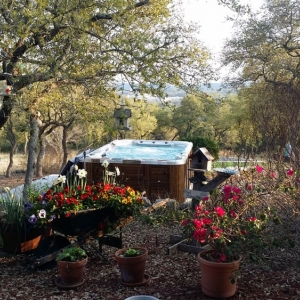 Photo of Sweetwater Pools