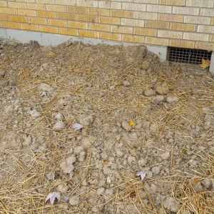Photo of Coopers Lawn Landscaping and Handyman Services
