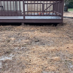 Photo of Coopers Lawn Landscaping and Handyman Services