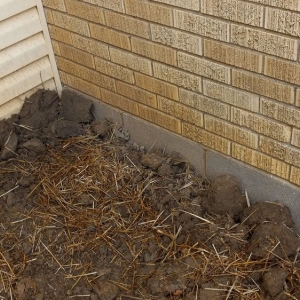 Photo of Coopers Lawn Landscaping and Handyman Services