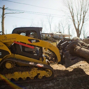 Photo of Charter Oaks Tree & Landscaping