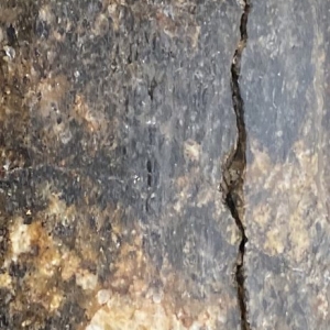 Photo of Stone Protech