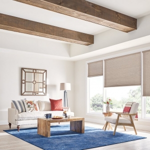 Elk Grove Village MarQi Blinds