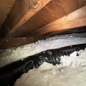 Photo of Attic Professional