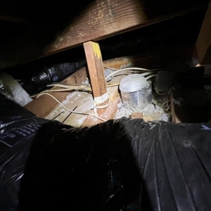 Photo of Attic Professional