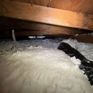Photo of Attic Professional