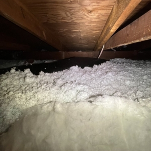 Photo of Attic Professional